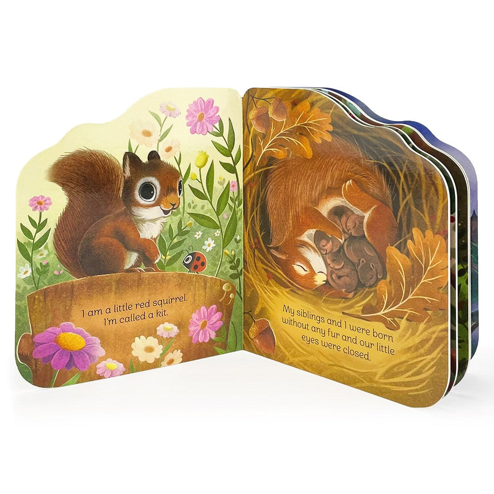 A Little Squirrel: Animal Shaped Board Book