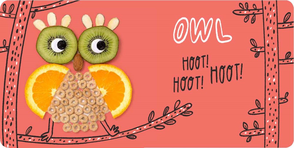 Food Faces : A Board Book