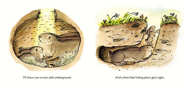 Hush, Little Bunny Board Book