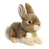 Miyoni® - 11" Eastern Cottontail Rabbit