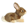 Miyoni® - 11" Eastern Cottontail Rabbit