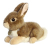 Miyoni® - 11" Eastern Cottontail Rabbit