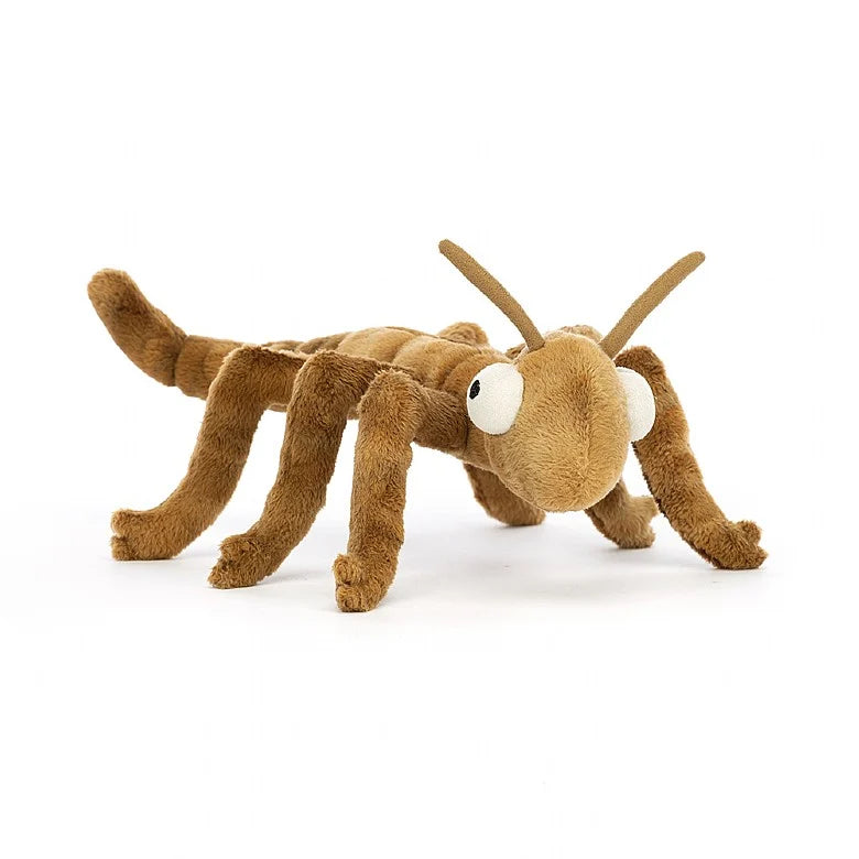 http://kidsnkribs.com/cdn/shop/files/StanleyStickInsect1.webp?v=1693513678