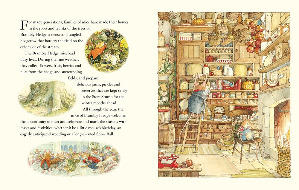 The Brambly Hedge Pop-Up Book