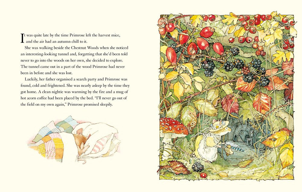 The Brambly Hedge Pop-Up Book