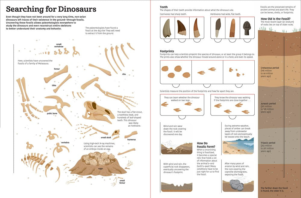 The Ultimate Book of Dinosaurs and Other Prehistoric Creatures