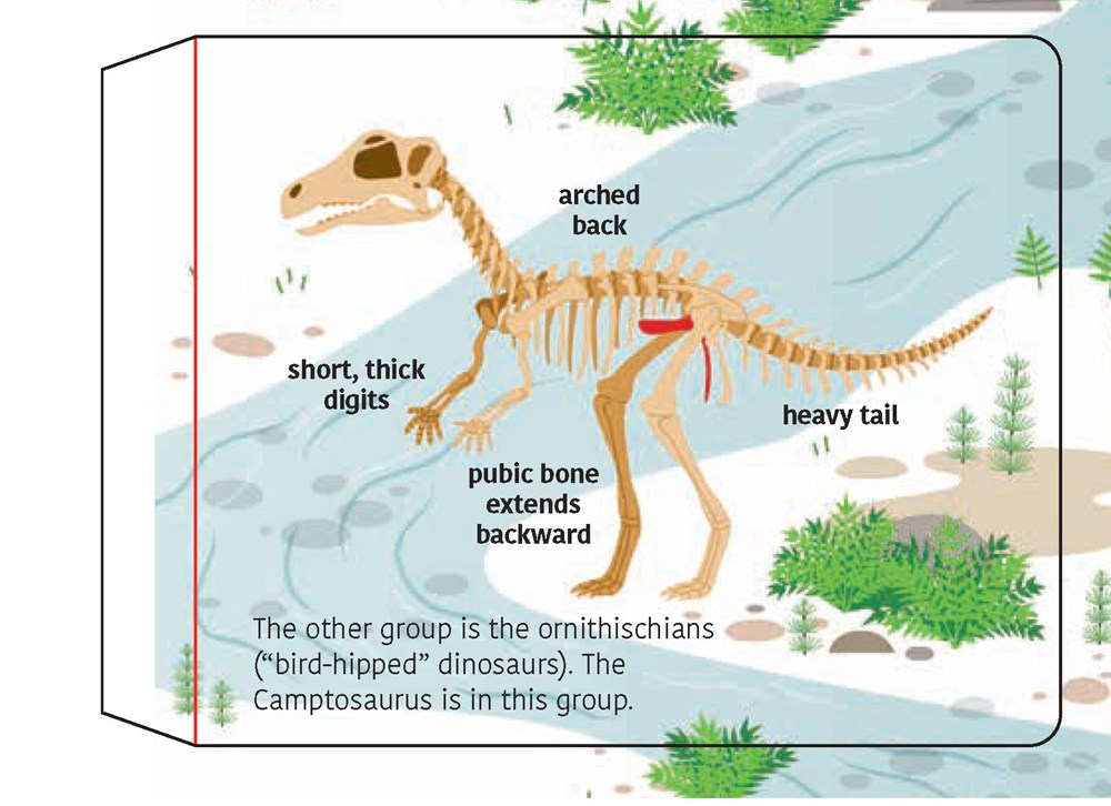 The Ultimate Book of Dinosaurs and Other Prehistoric Creatures