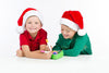 Treemendous Ornament Decorator