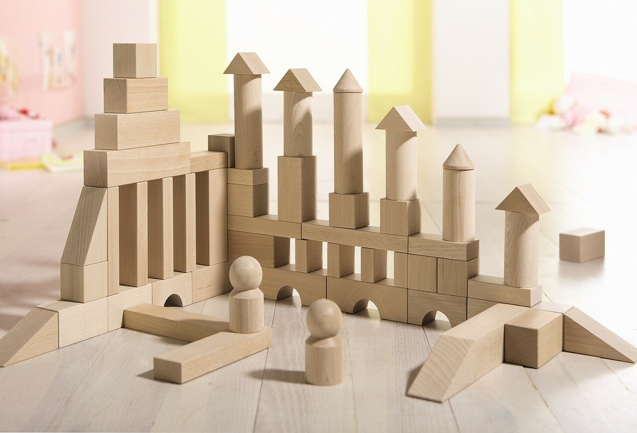 Basic Building Blocks 60 Piece Large Starter Set