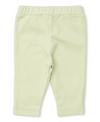 Basic Stripe Bodysuit w/ Solid Pant Set, Green