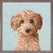 Best Friend - Irish Doodle, Mini Framed Canvas
