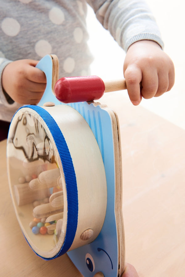 Drumfish 3-in-1 Muscial Instrument