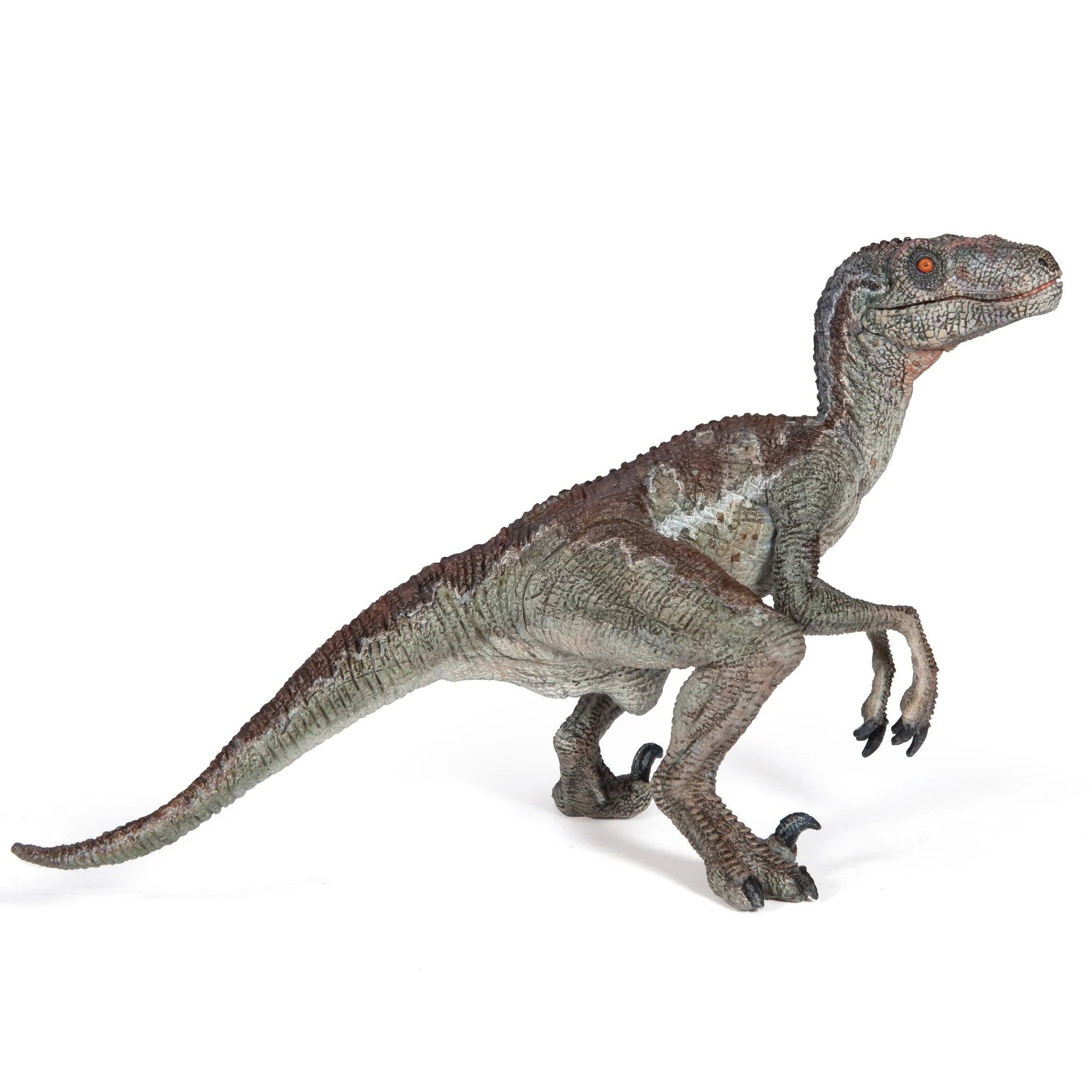 Figurine - Velociraptor