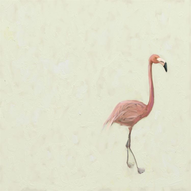 Flamingo Walk, Stretched Canvas Wall Art 10x10