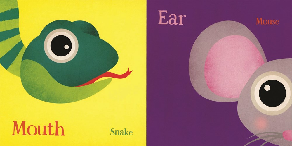 Hoot's Early Learning Library