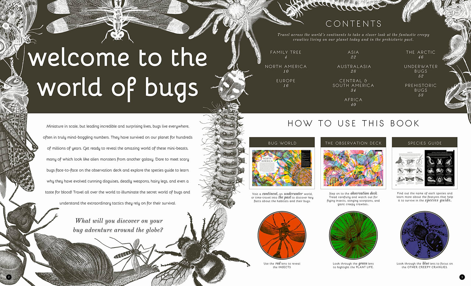Illuminibugs