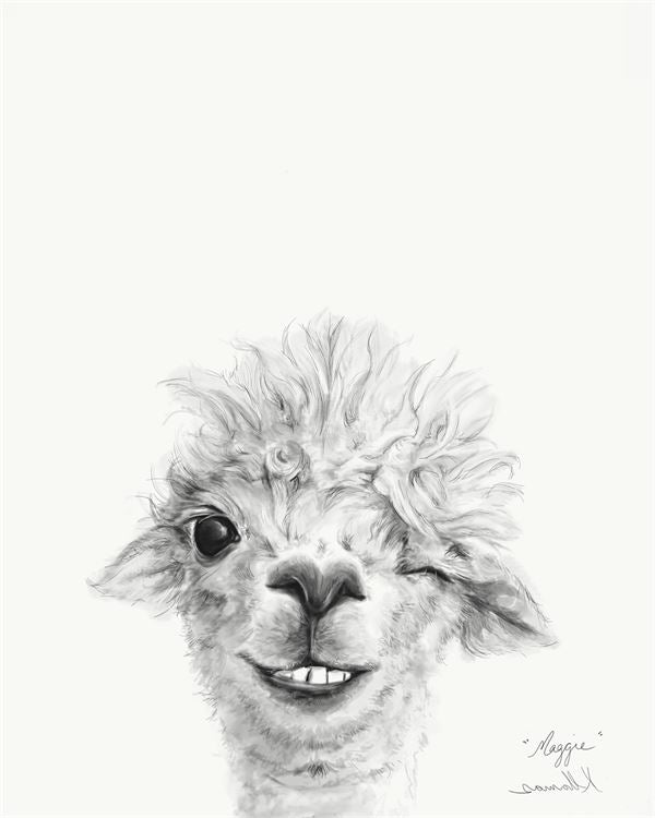Llama Draw You A Portrait - Maggie, Stretched Canvas Wall Art 10x14