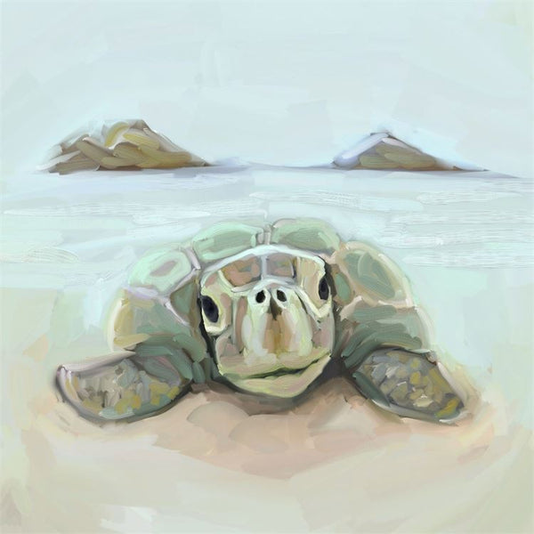 Mokulua Turtle, Stretched Canvas Wall Art 14x14