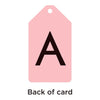 My ABCs Ring Flash Cards