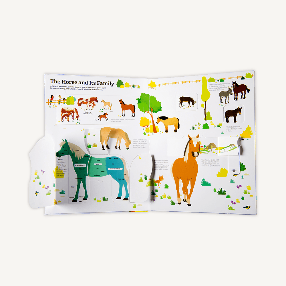 The Ultimate Book of Horses