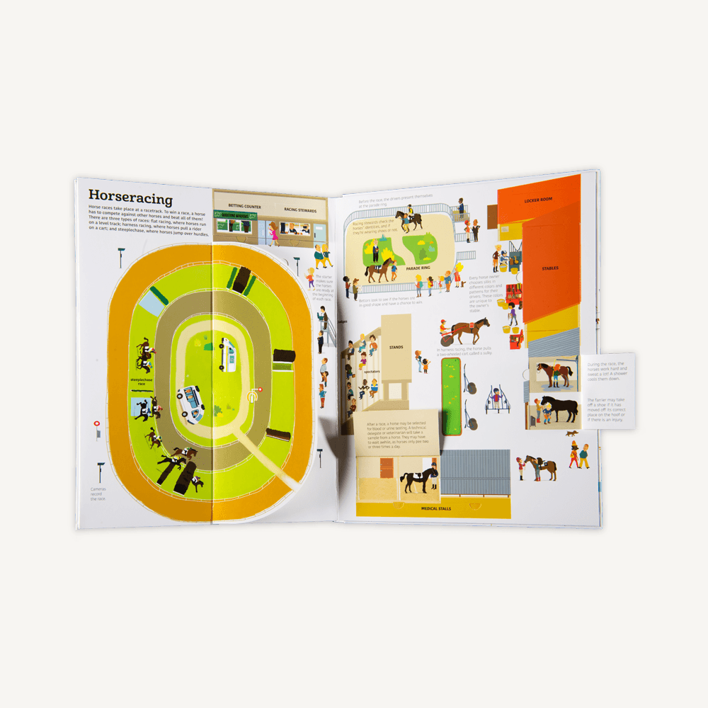 The Ultimate Book of Horses