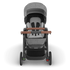 Cruz V3 Stroller