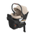 Aria™