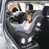 Rove™ Convertible Car Seat