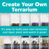 Faber Castell Grow N' Glow Terrarium