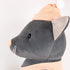 FINALSALE: Egmont Toys Plush Malo the Cat, Large