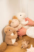Egmont Toys Plush Lam Lamb with Baby