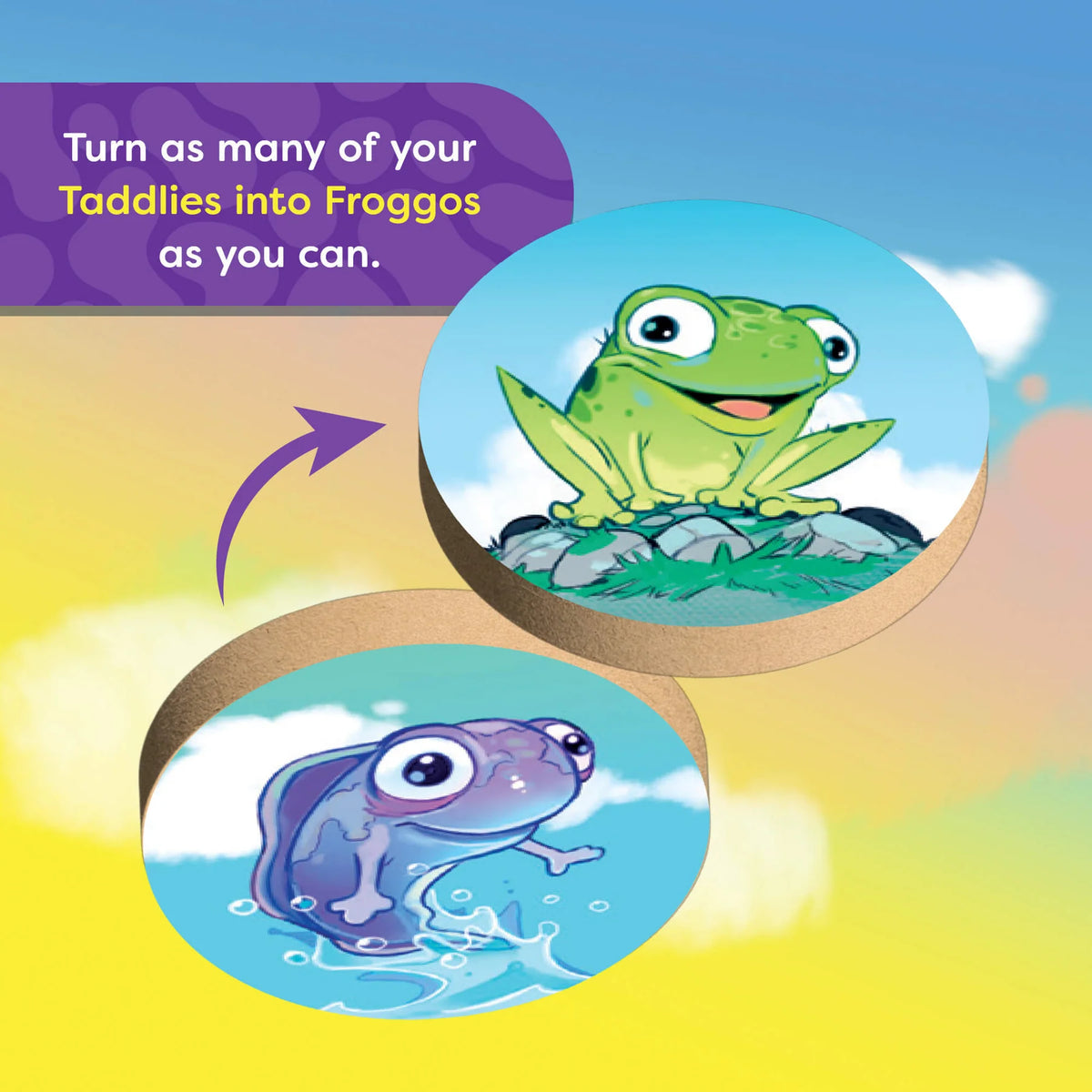 Haba Froggos Dice Game