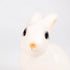 Egmont Lamp - White Rabbit with Plug