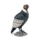 Papo Figurine - Condor