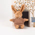 Egmont Toys Lenny the Rabbit Cube House
