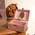 Egmont Toys Musical Jewelry Box - Rabbit & Ladybug