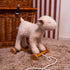 Egmont Toys Pull-Along Mary