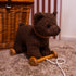 Egmont Toys Pull-Along Raoul