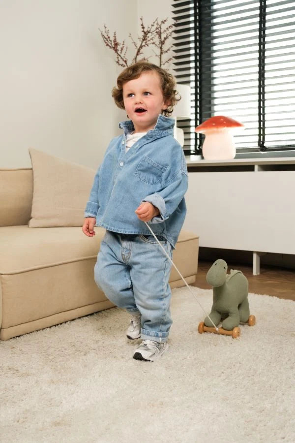 Egmont Toys Pull-Along Victor