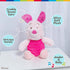 Kids Preferred Disney - Piglet Small Plush