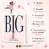 Hachette Book Group Big (Caldecott Medal Winner & Coretta Scott King Honor Title)