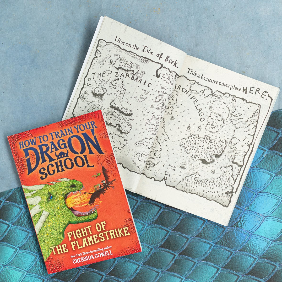 Hachette Book Group How to Train Your Dragon School - Fight of the Flamestrike