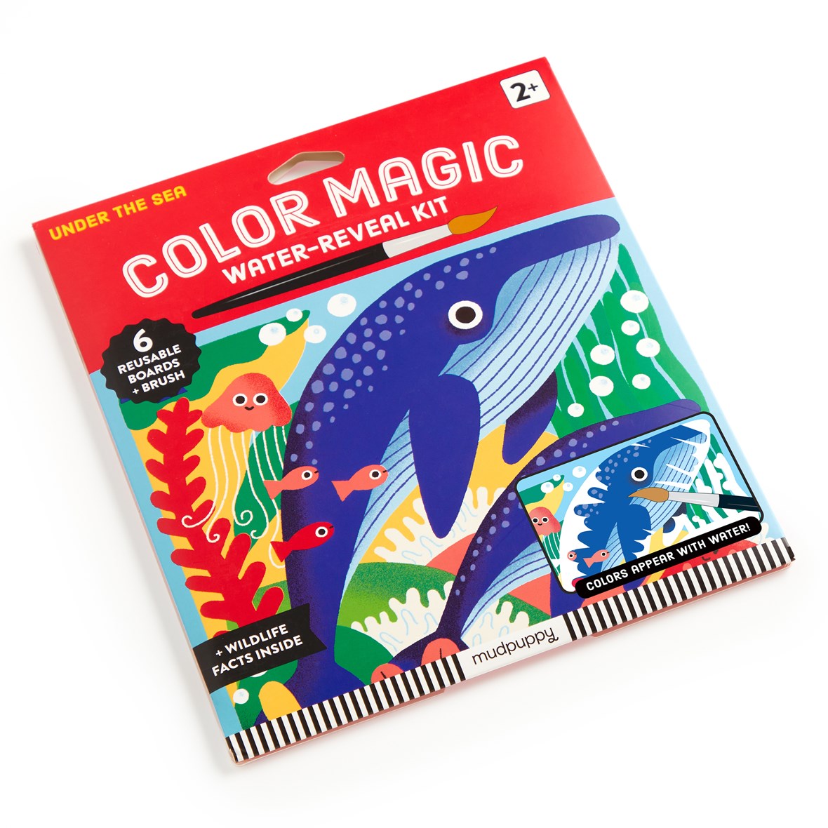 Chronicle Mudpuppy Under The Sea Color Magic Water-Reveal Kit