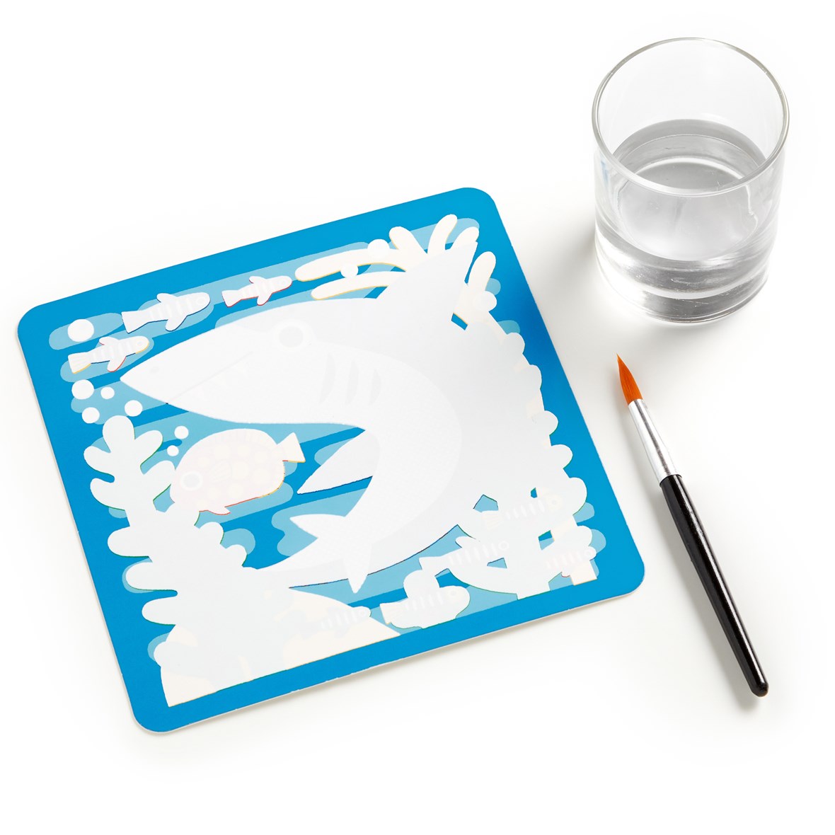 Chronicle Mudpuppy Under The Sea Color Magic Water-Reveal Kit