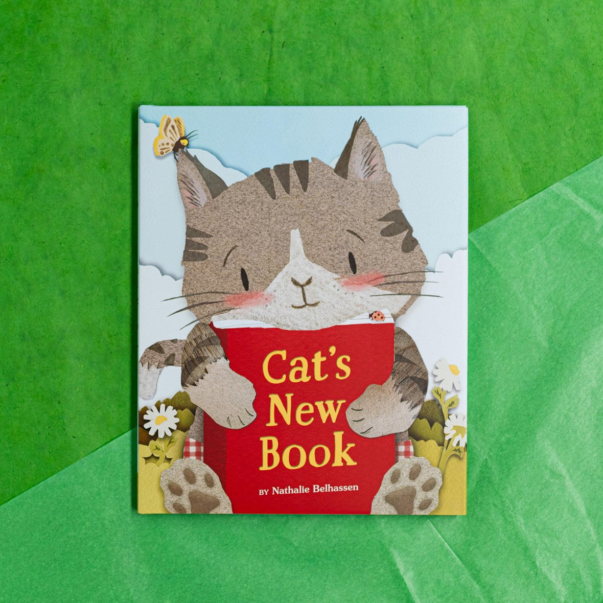 Hachette Book Group Cat's New Book