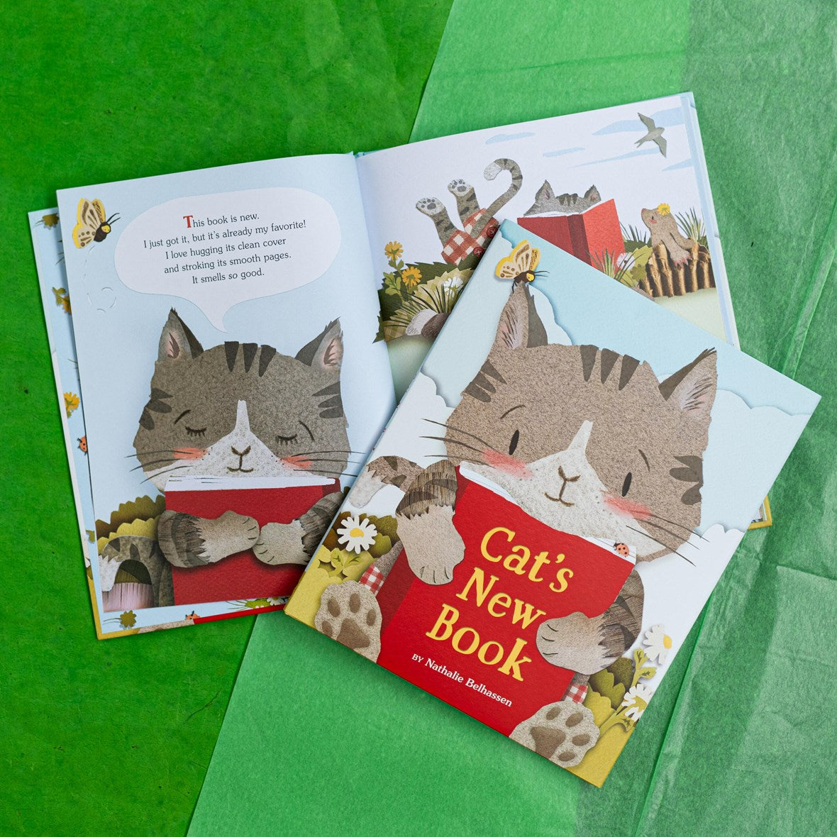 Hachette Book Group Cat's New Book