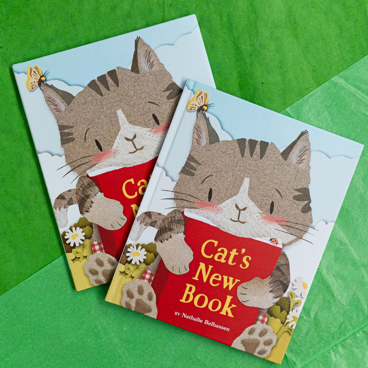 Hachette Book Group Cat's New Book