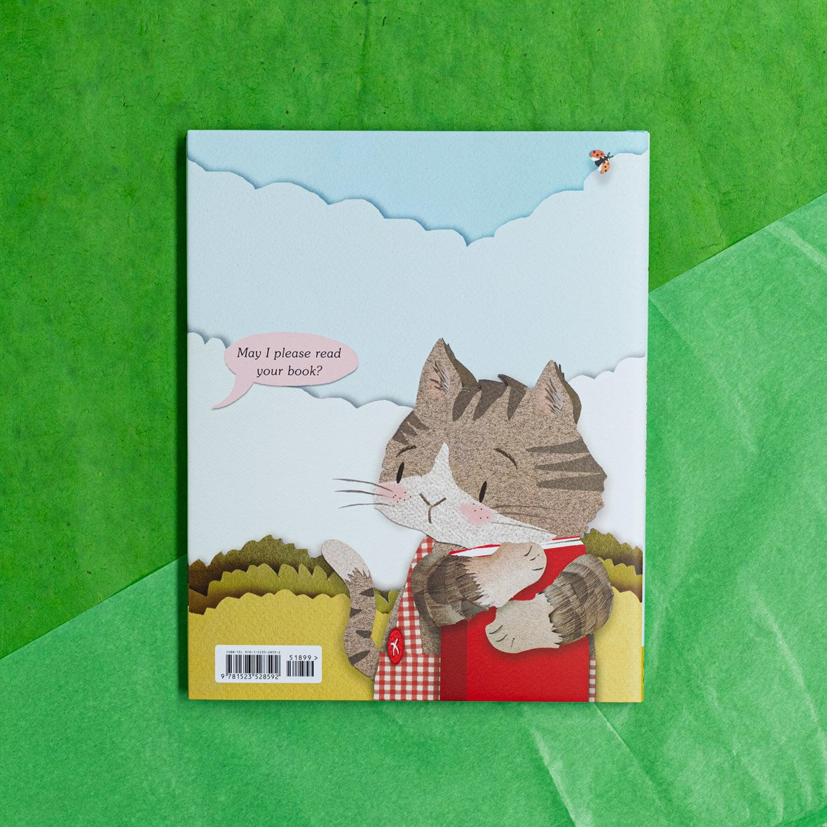 Hachette Book Group Cat's New Book