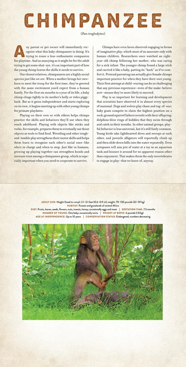 Workman Publishing Babies- A Photicular Book