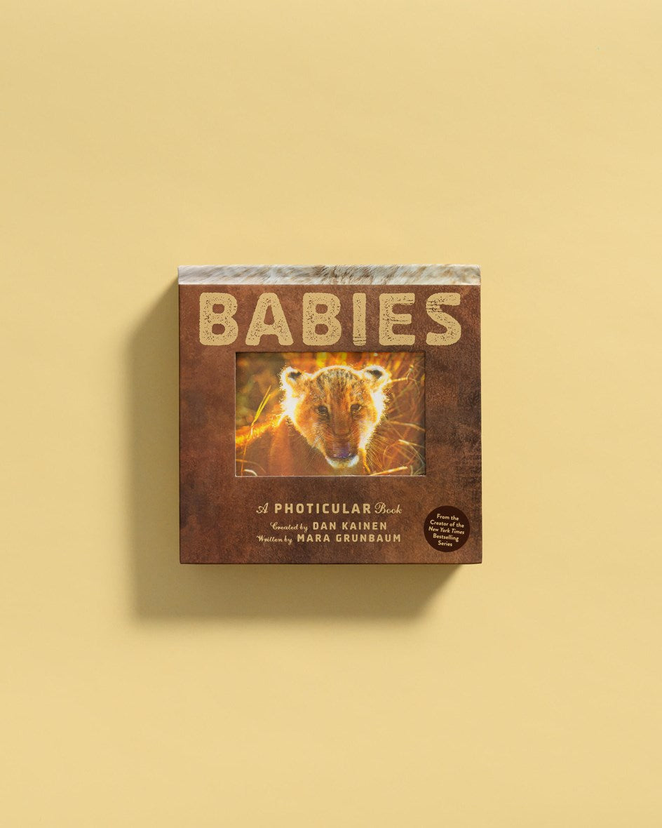 Workman Publishing Babies- A Photicular Book
